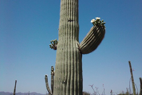 Tour image 3