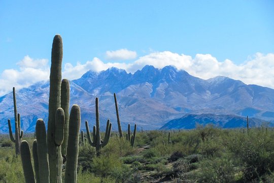 Tour image 2