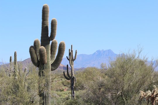Tour image 3