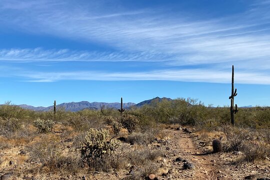 Tour image 6