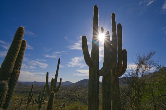 Tour image 12