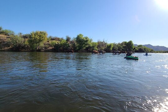 Tour image 5