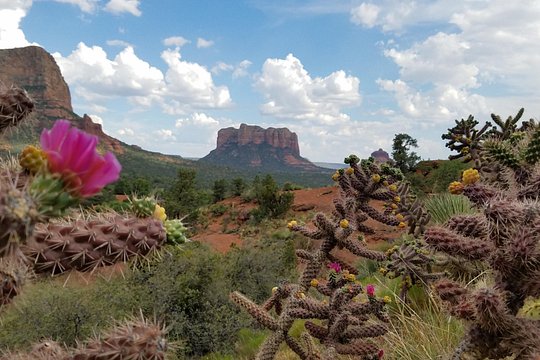 Tour image 1