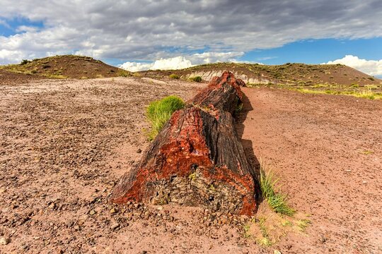 Tour image 11